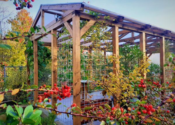 pergola drewniana